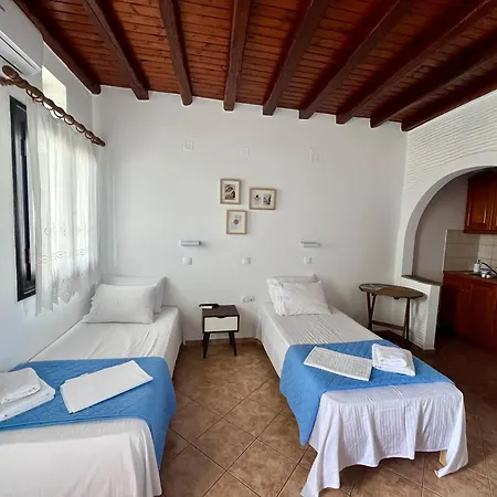 公寓 Spitalia Tínos